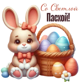 🐰