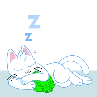 💤
