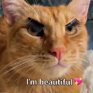 😄