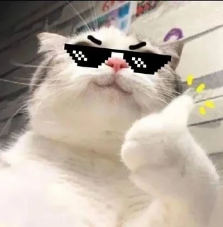 😎