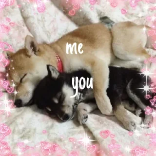 💞