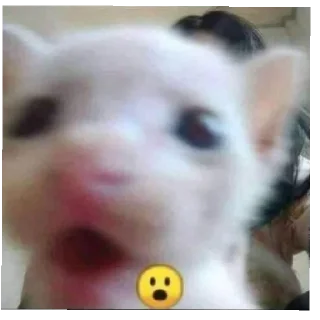 😄