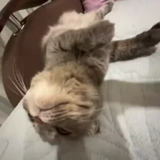 🥰