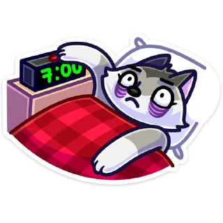 😴
