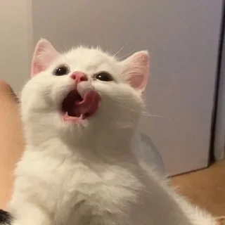 😋