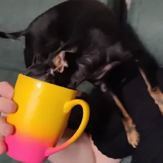 🚰