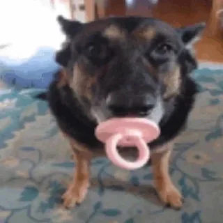 🙈