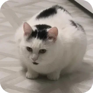 😶