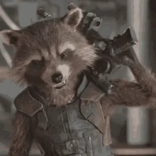 🦝