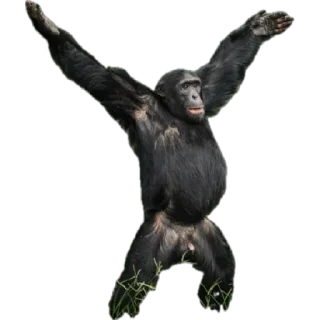 🕺