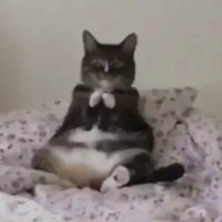 🙏