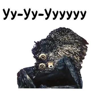 😲