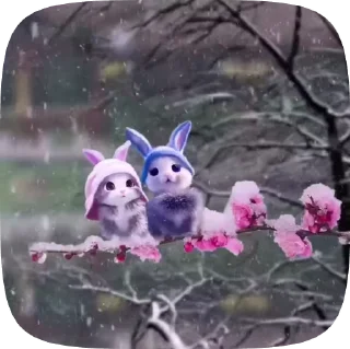 👩‍❤️‍👨