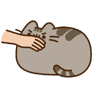 😼