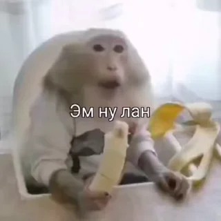 😒