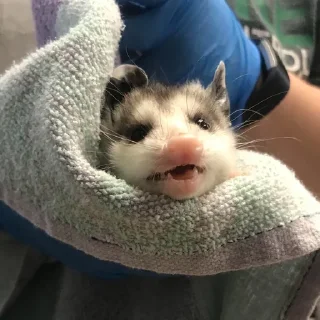 😦