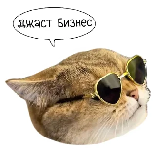 😎