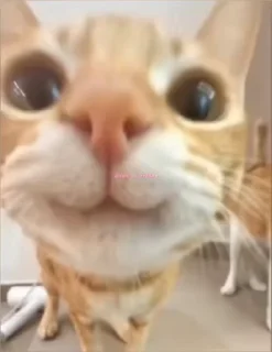 🙂