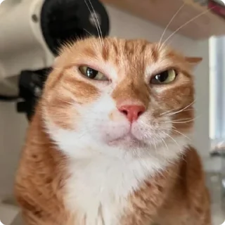 🤨