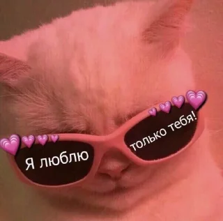 😎