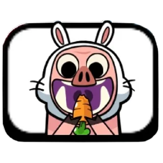 🐰