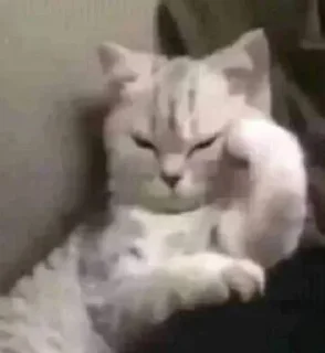 🙂