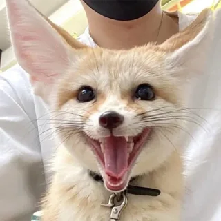 😃