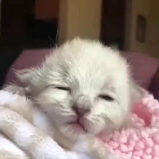 ☺️