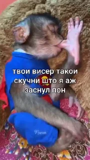 😪