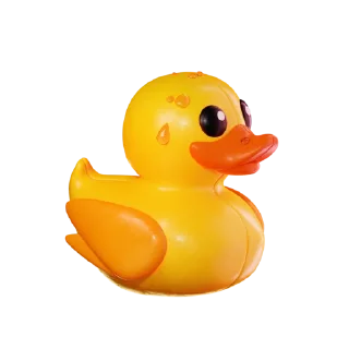 🦆