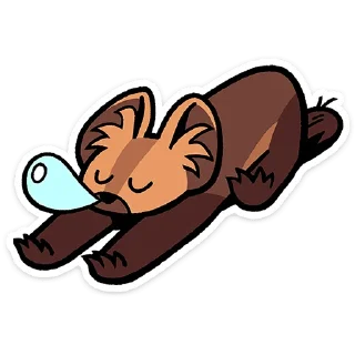 😴
