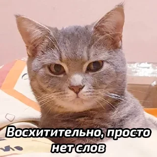 😕