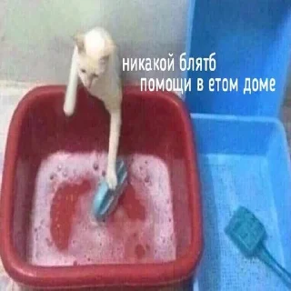 ☹️