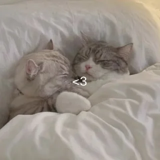 ❤️