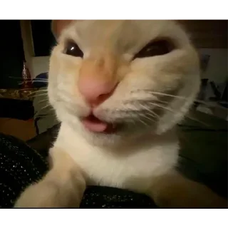 🤢