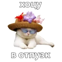 👒