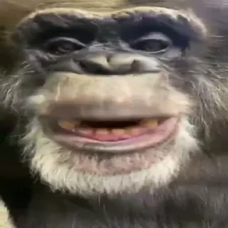 🤪