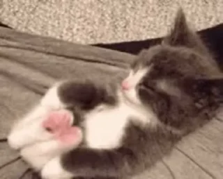 😴