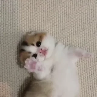 💋