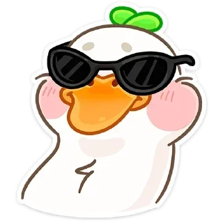😎