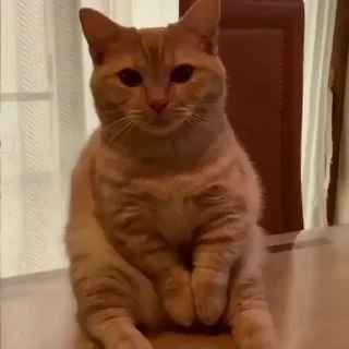 😐
