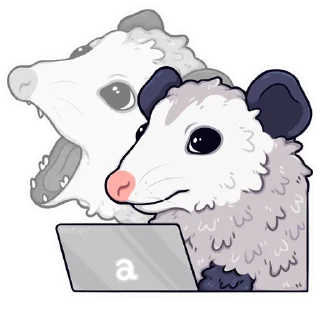 💻
