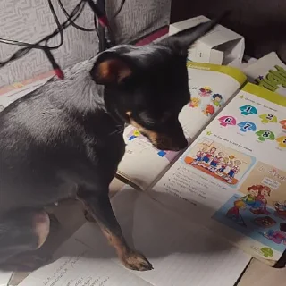 📚
