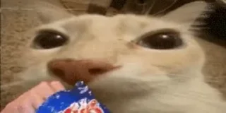 🍟