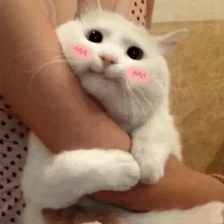 🥰
