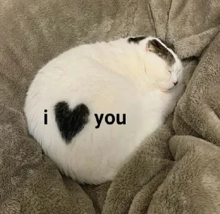 🤗