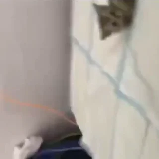 😘