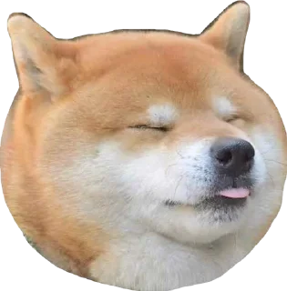 😛