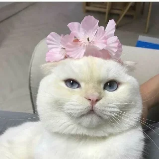 💐