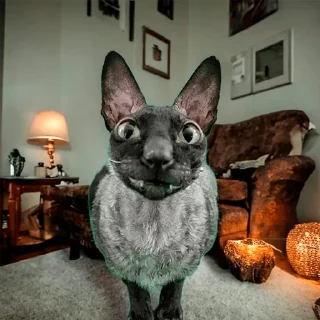 😎